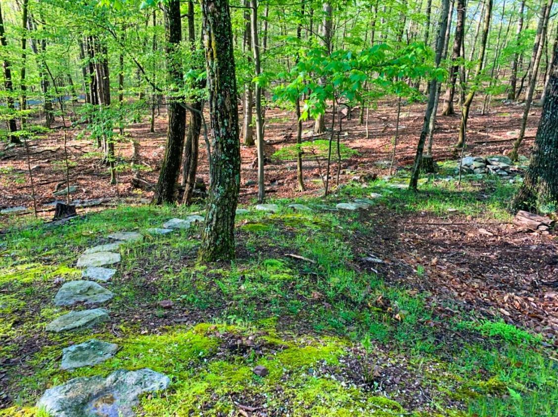 Chalet W Hot Tub, Large Deck, Grill, & Fast Wifi Berkeley Springs Exteriér fotografie